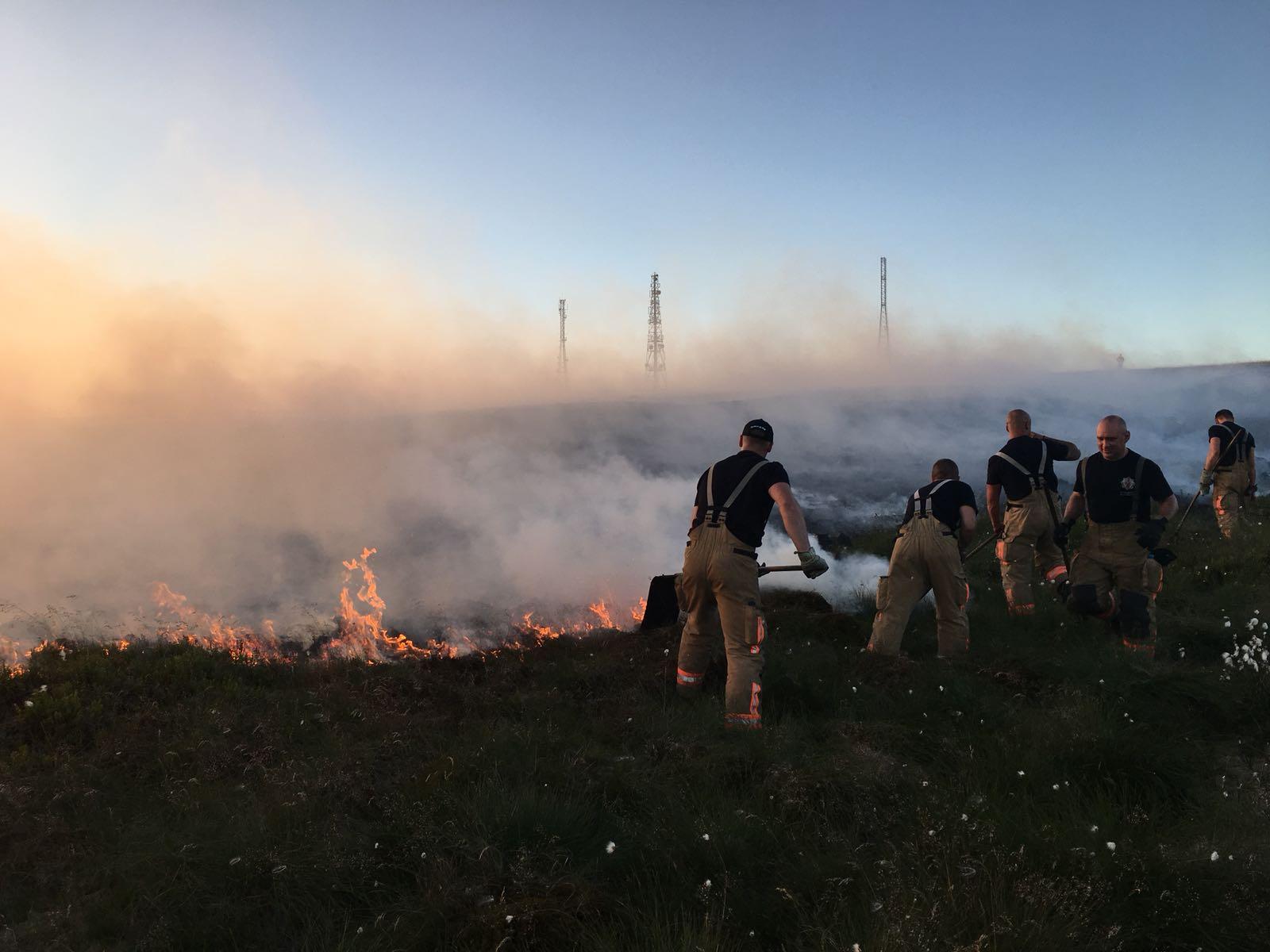 Wildfires